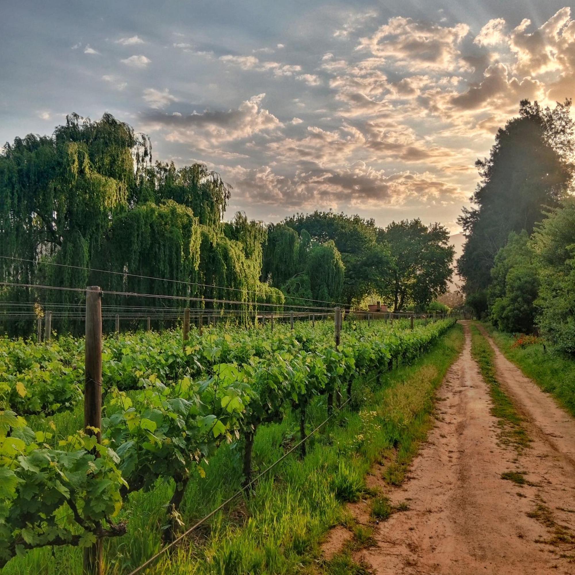 Cabernet Cottage Be Still And Know Франсгук Екстер'єр фото
